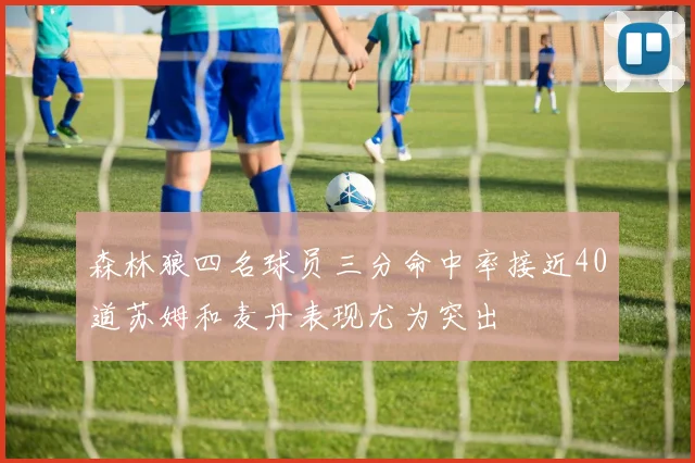 森林狼四名球员三分命中率接近40道苏姆和麦丹表现尤为突出